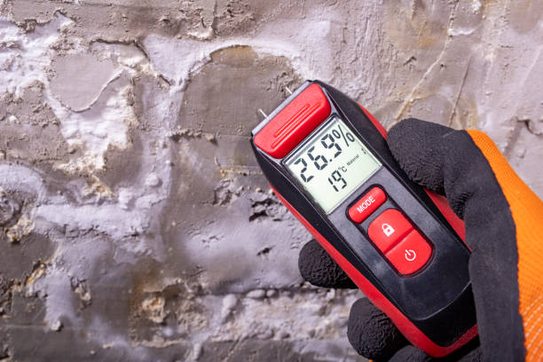 Best Mold Testing  in Hemet, CA