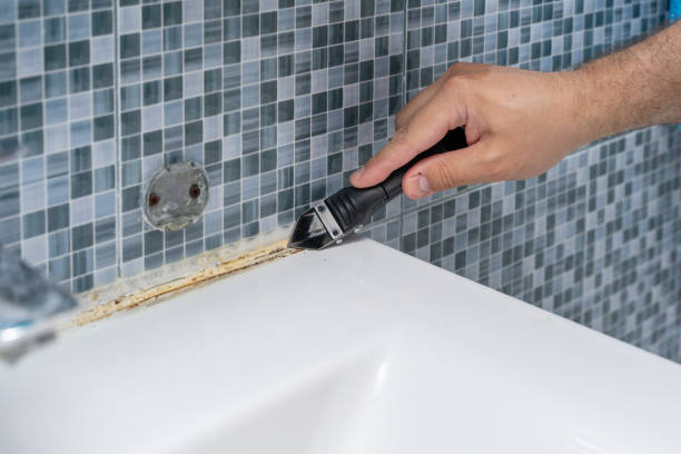 Hemet, CA Mold Removal Company
