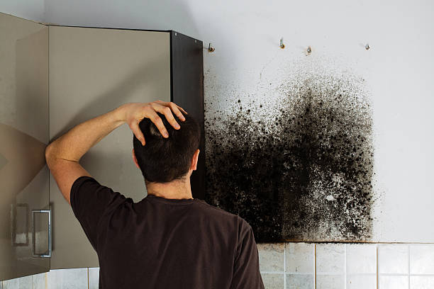 Best Office Mold Removal Services  in Hemet, CA